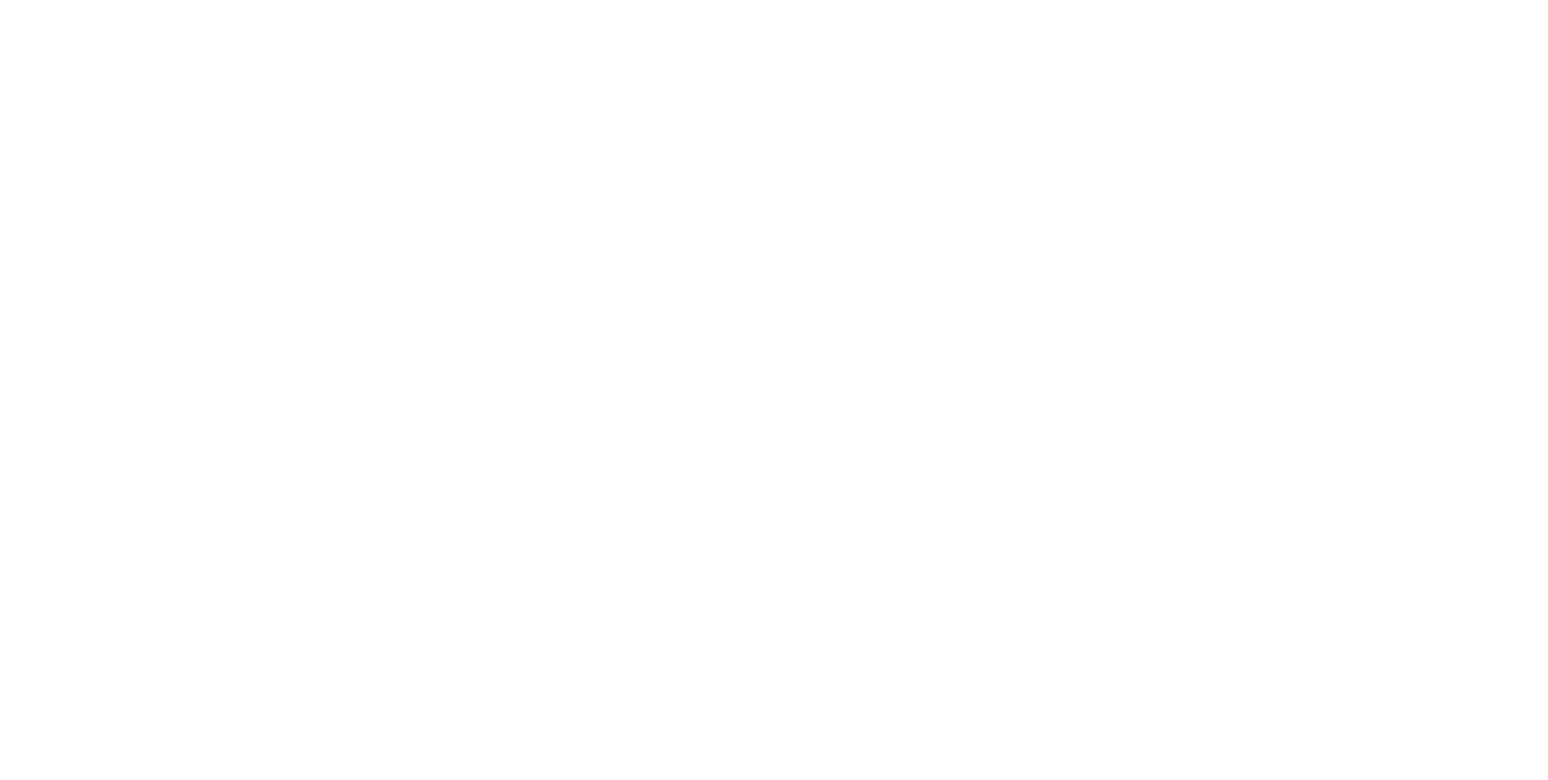 Christmas at Bute Park
