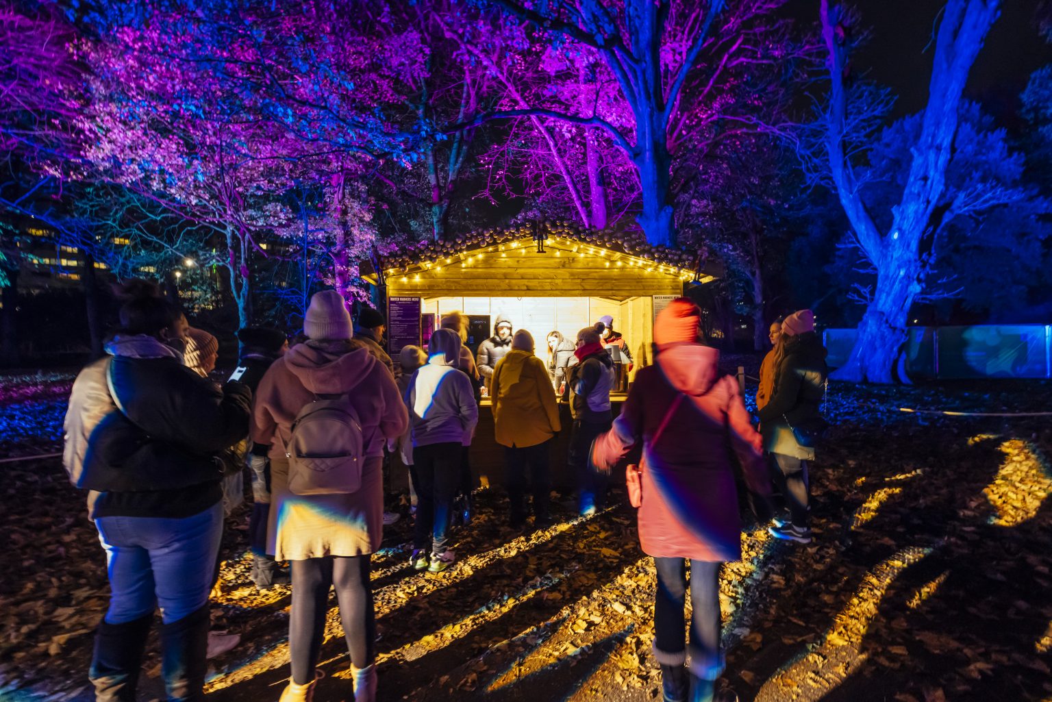 Christmas Village Christmas at Bute Park