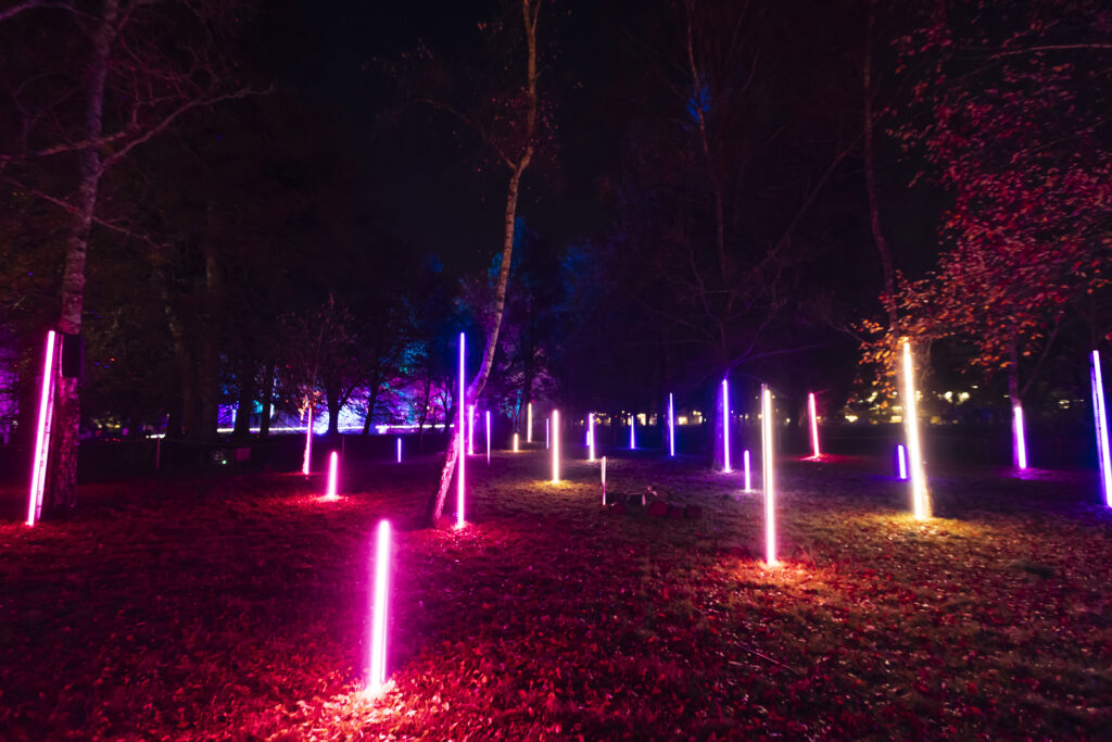 Home Christmas at Bute Park