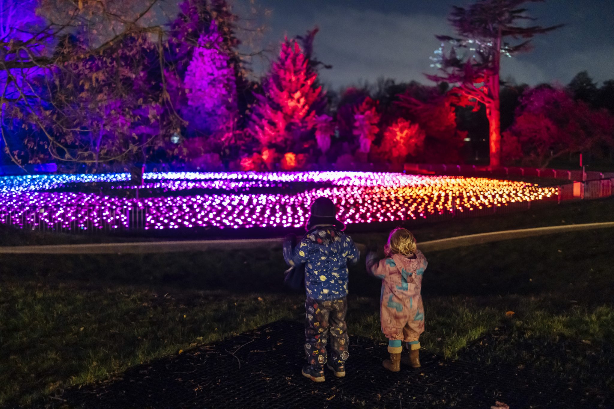 New for 2024 Christmas at Bute Park