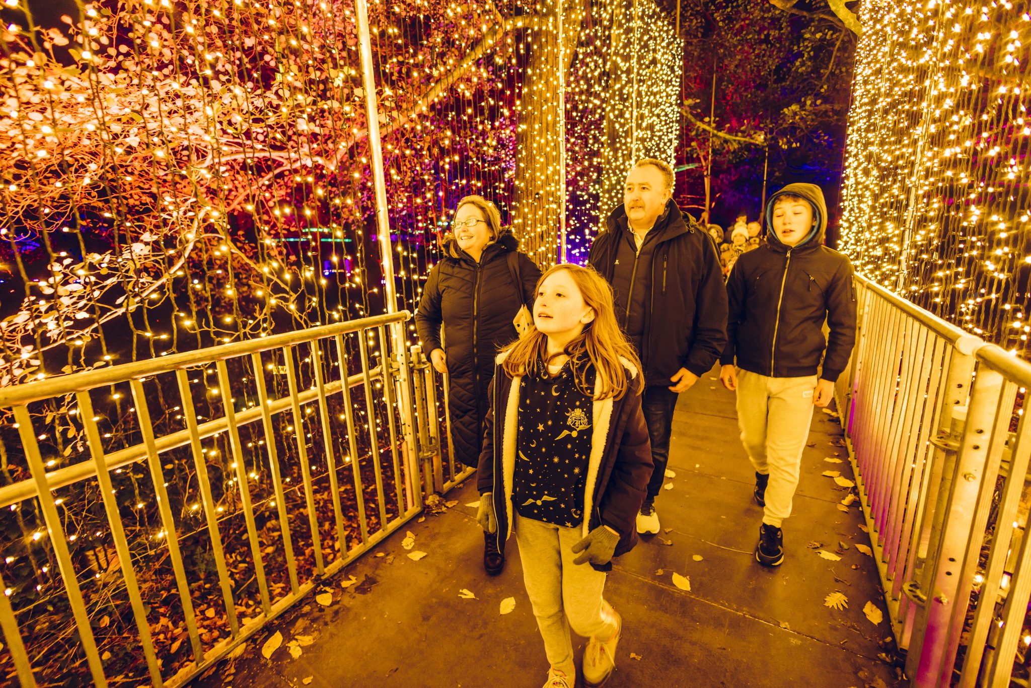 Home Christmas at Bute Park