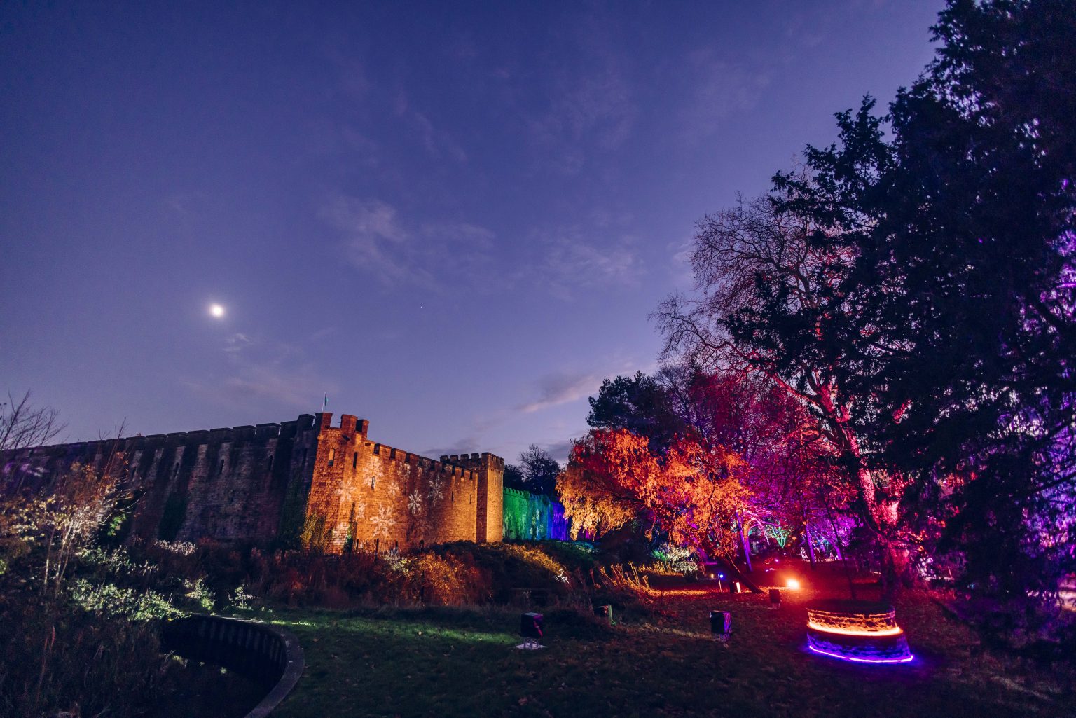 Home Christmas at Bute Park