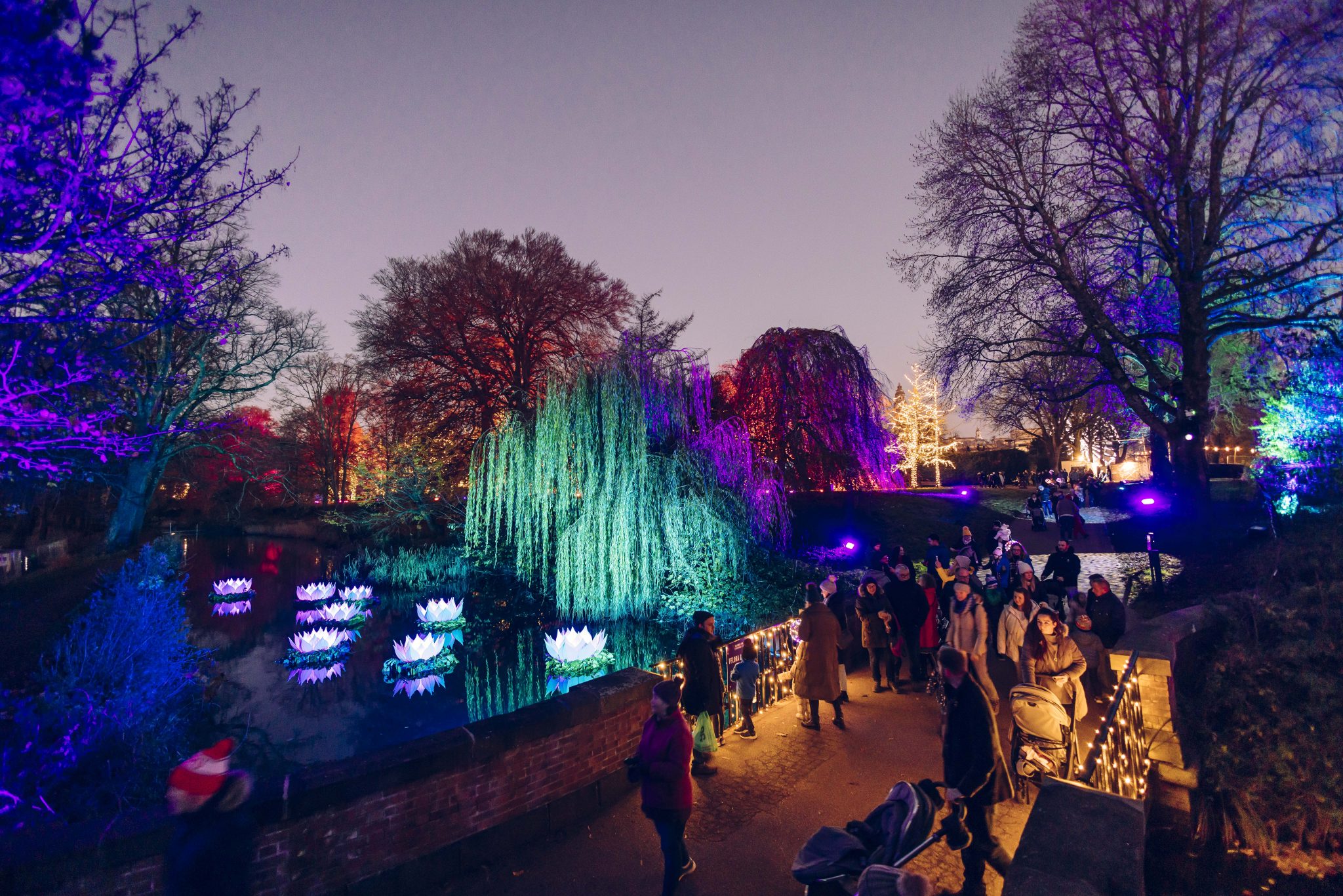 New for 2023 Christmas at Bute Park