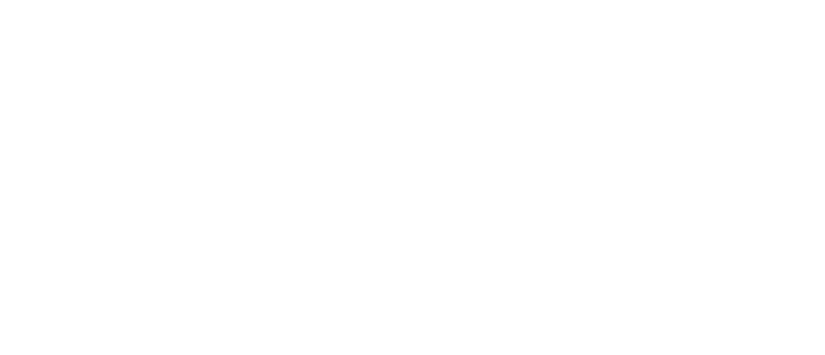 Christmas at Bute Park